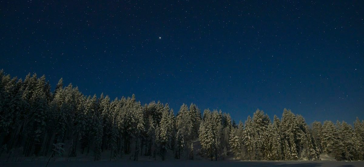 a night sky with stars above a snow covered forest
