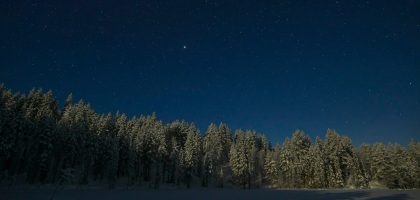 a night sky with stars above a snow covered forest