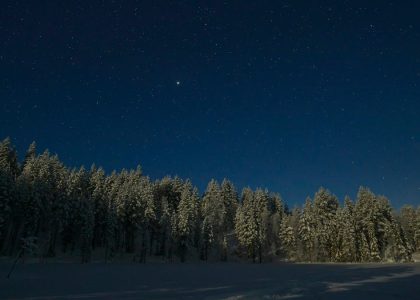 a night sky with stars above a snow covered forest
